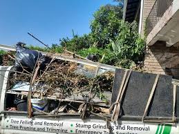 Shed Removal in Hamlet, NC